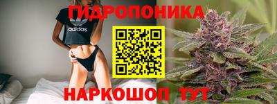 стаф Ставрополь