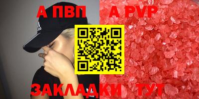 стаф Ставрополь