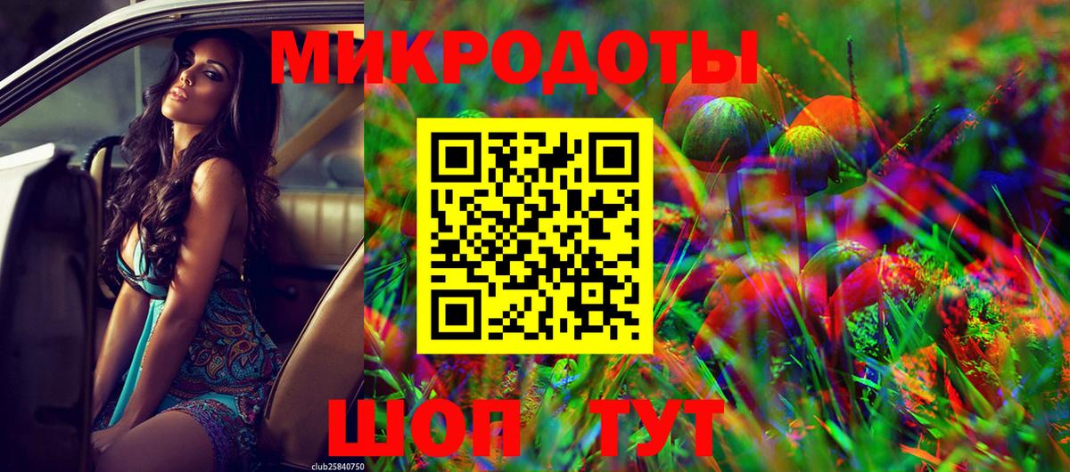 Новозыбков  Псилоцибиновые грибы прущие грибы  где найти   Вход с VPN 