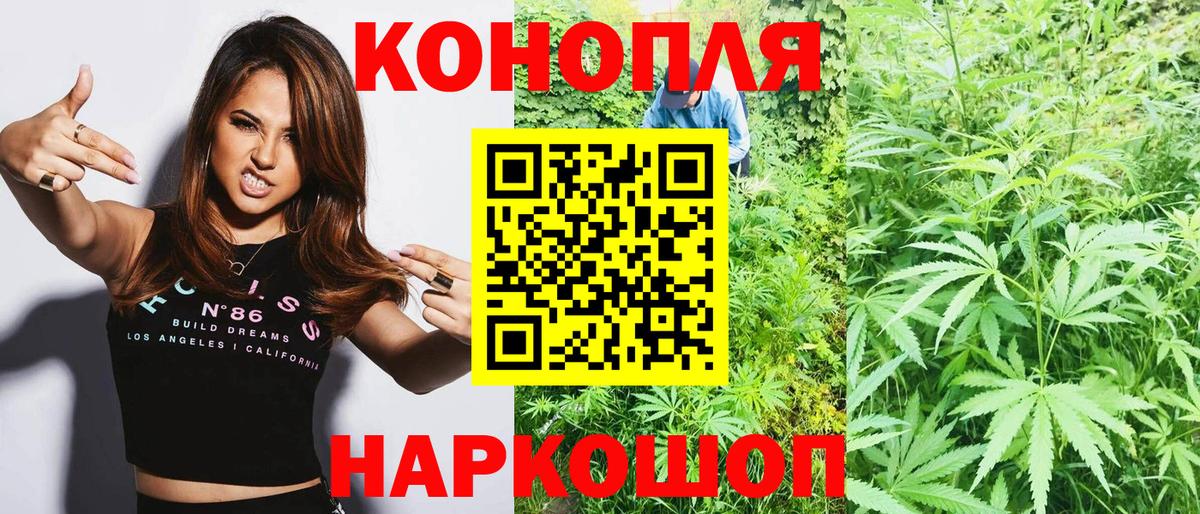 Марихуана индика  Шишки марихуана план  Новозыбков  Вход с VPN 